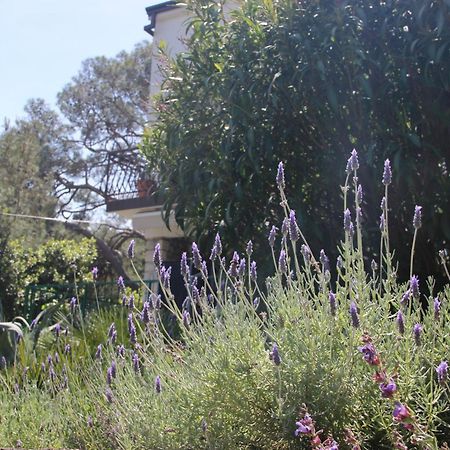 Cappelli Apartments - Losinj 말리로시니 외부 사진